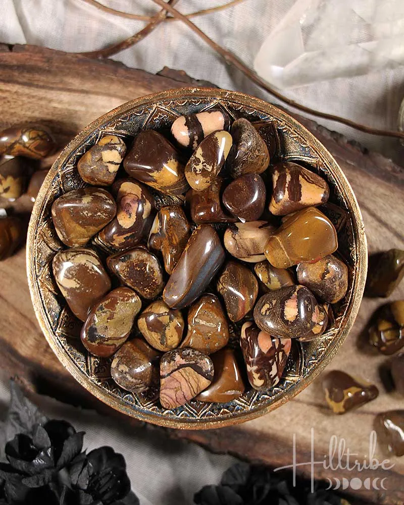 African Picture Jasper Tumbled