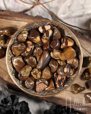 African Picture Jasper Tumbled