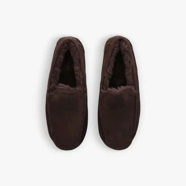 Ascot Suede Sheepskin Slippers with Embroidered Ugg Logo, Brown